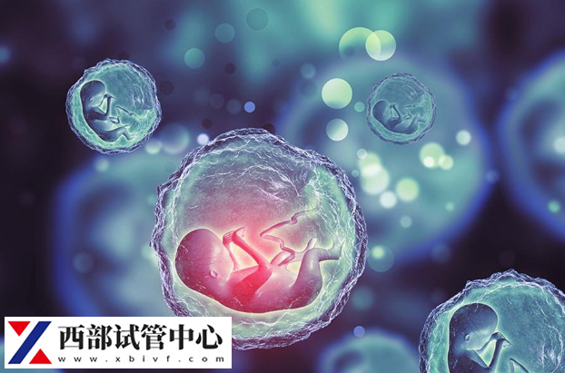 胚胎的質(zhì)量會影響胚胎的著床時(shí)間