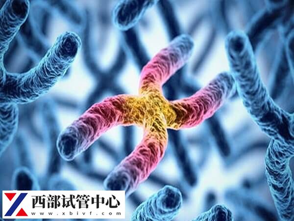 平衡易位可能會導(dǎo)致無精癥