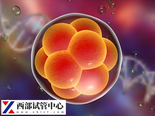 胚胎質(zhì)量一般也可以進(jìn)行移植